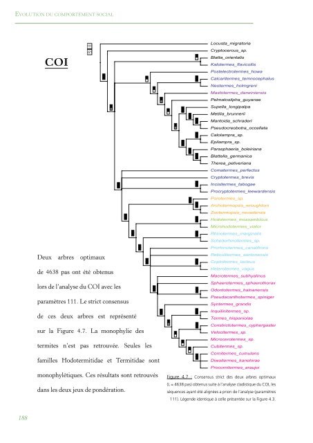 PhylogÃ©nie Et Evolution Du Comportement Social Chez Les Blattes ...