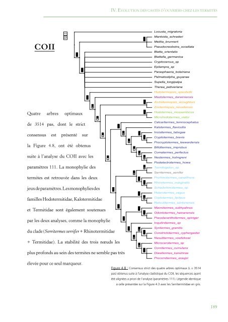 PhylogÃ©nie Et Evolution Du Comportement Social Chez Les Blattes ...