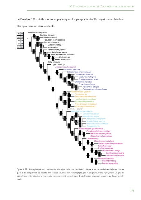 PhylogÃ©nie Et Evolution Du Comportement Social Chez Les Blattes ...