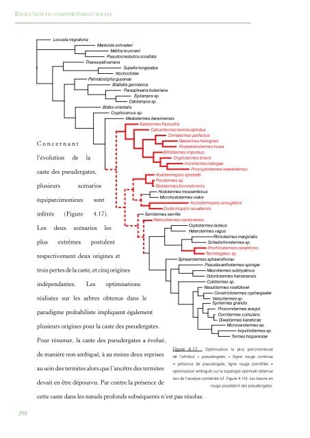 PhylogÃ©nie Et Evolution Du Comportement Social Chez Les Blattes ...