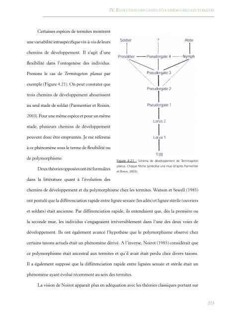 PhylogÃ©nie Et Evolution Du Comportement Social Chez Les Blattes ...