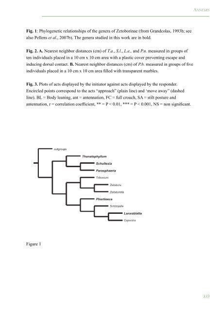 PhylogÃ©nie Et Evolution Du Comportement Social Chez Les Blattes ...