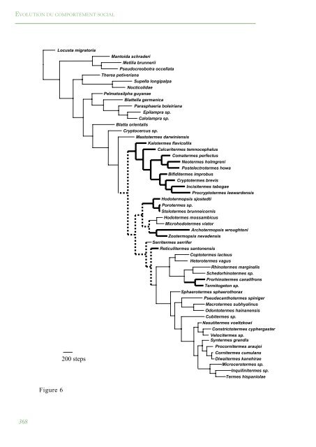 PhylogÃ©nie Et Evolution Du Comportement Social Chez Les Blattes ...
