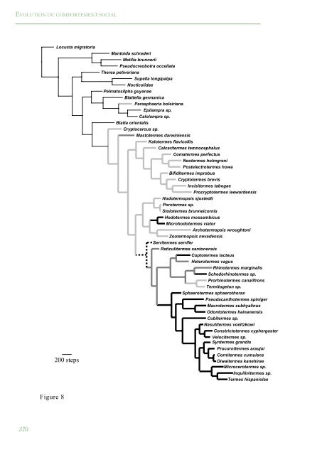 PhylogÃ©nie Et Evolution Du Comportement Social Chez Les Blattes ...