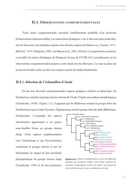 PhylogÃ©nie Et Evolution Du Comportement Social Chez Les Blattes ...