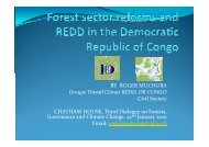 BY ROGER MUCHUBA Groupe Travail Climat REDD, DR CONGO ...