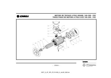 MOTORI B5 TRIFASE 4 POLI GRAND. 160-200 - FHS ... - Lowara