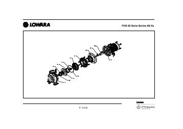 FHS 65 Serie-Series 60 Hz - Lowara