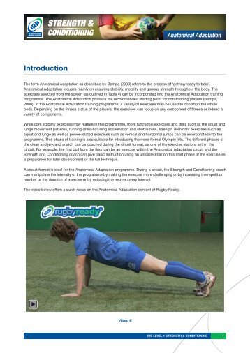 Anatomical Adaptation - womensrugby.at