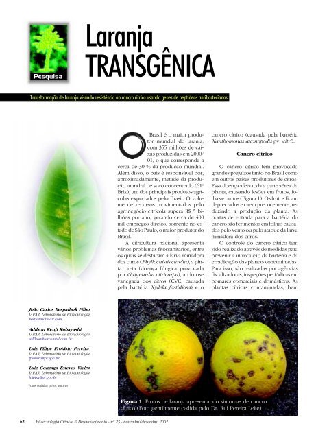 Laranja TRANSGÃNICA - Biotecnologia