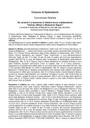 Vetrine Motori e Balsamici Sapori 2008 - Comune di Spilamberto