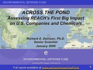 ACROSS THE POND Assessing REACH's First Big Impact on U.S. ...