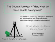 The County Surveyor (2013).pdf