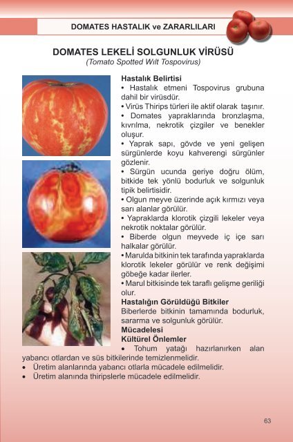 Вирус Tomato spotted wilt virus. Тосповирус бронзовости томата Tomato spotted wilt Tospovirus. Вирус томатов Тобаго. Вирусы томатов описание с фотографиями. Моя дорога в детство томат помидор 2024