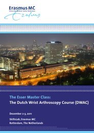 The Esser Master Class: The Dutch Wrist Arthroscopy Course (DWAC)