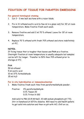 FIXATION OF TISSUE FOR PARAFFIN EMBEDDING