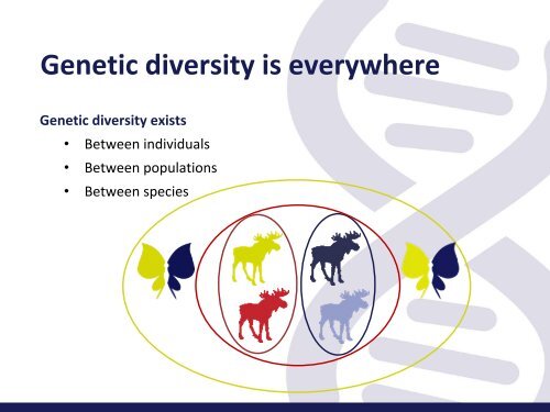 Genetic diversity