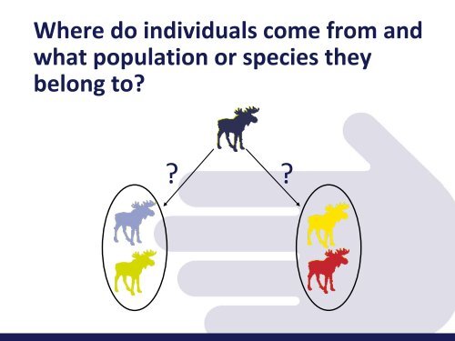 Genetic diversity