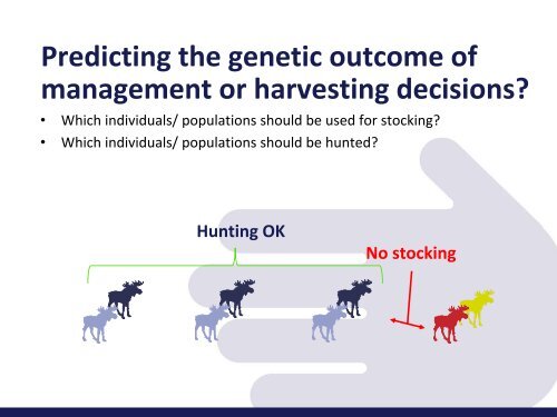 Genetic diversity