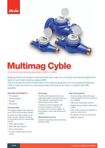 Multimag Cyble - Itron