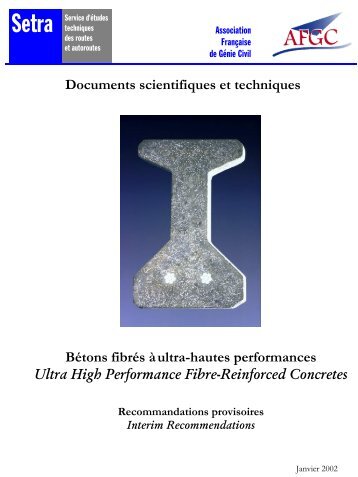 Recommandations AFGC - BSI Eiffage