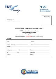 DOSSIER DE CANDIDATURE 2012-2013 Section Ski ... - IUT Annecy