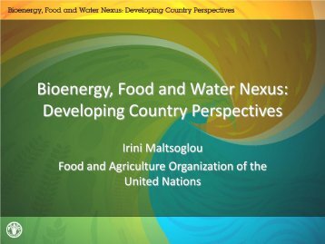 Irini Maltsoglou Food and Agriculture Organization of the United ...