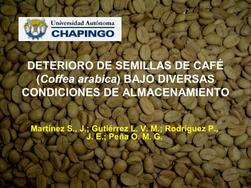 DETERIORO DE SEMILLAS DE CAFÉ (Coffea arabica ... - CEDAF