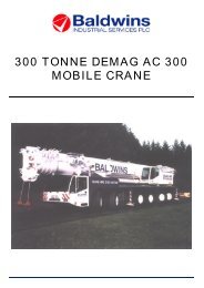 300 TONNE DEMAG AC 300 MOBILE CRANE - Anthony Crane USA