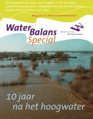 Het hoogwater van 1995 - een terugblik â¢ Is het nu ... - TU Delft: CiTG