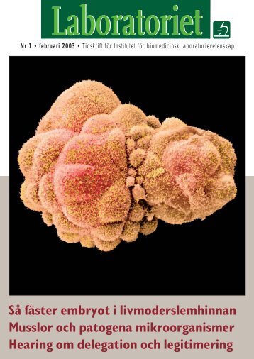 SÃ¥ fÃ¤ster embryot i livmoderslemhinnan Musslor och patogena ...