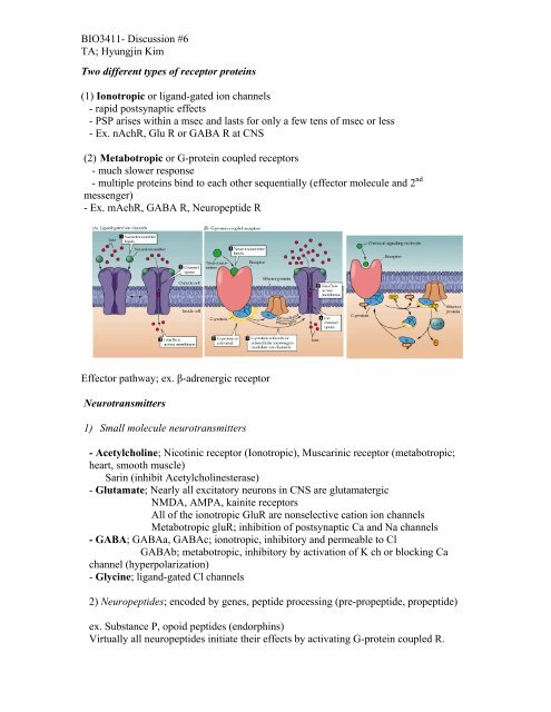 Two different types of receptor proteins