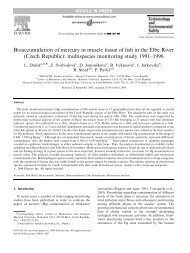 Bioaccumulation of mercury in muscle tissue of fish in the Elbe River ...