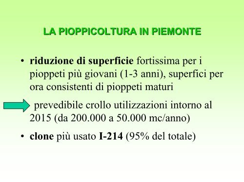 La pioppicoltura in Piemonte