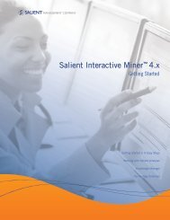 Salient Interactive Miner™ 4.x