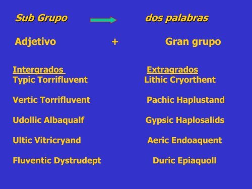 La estructura del suelo