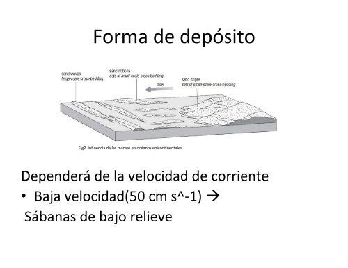 Ambientes Marinos Someros ClÃ¡sticos