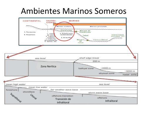 Ambientes Marinos Someros ClÃ¡sticos