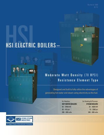 HSI Electric Brochure - California Boiler