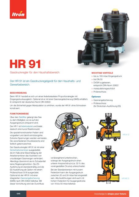 Gasdruckregler fÃ¼r den Haushaltsbereich Der HR 91 ist ein ... - Itron