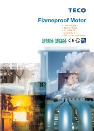 Flameproof Motor