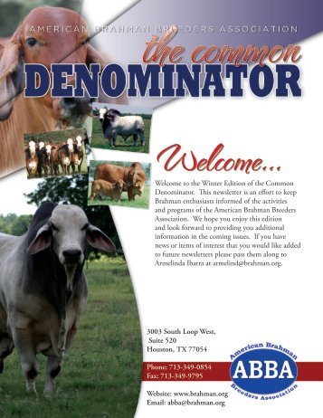 American Brahman Breeders Association - Beef