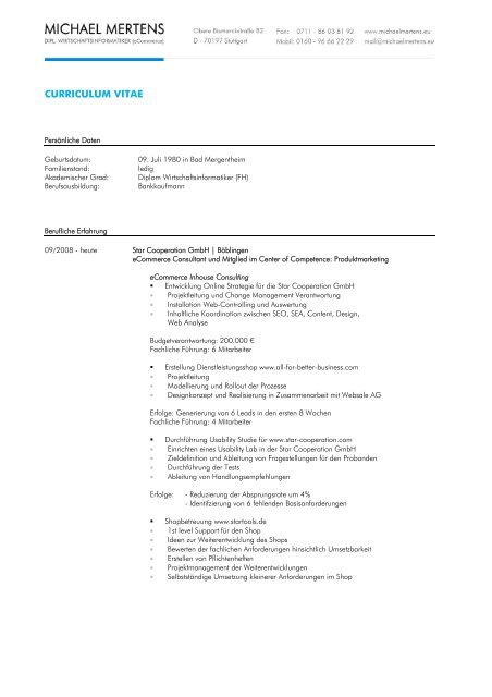 CURRICULUM VITAE - Michael Mertens