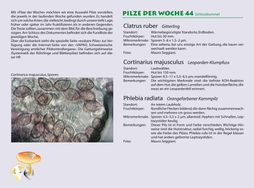 Pilze der Woche 44 Schlussbummel Clatrus ruber ... - pilze-basel