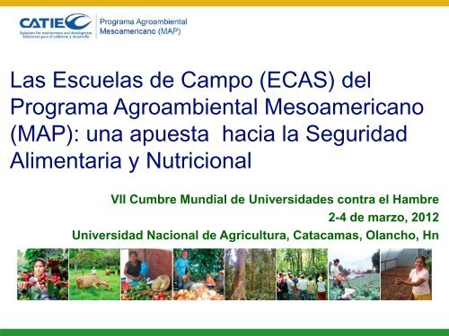 CATIE - Costa Rica - Universidad Nacional de Agricultura