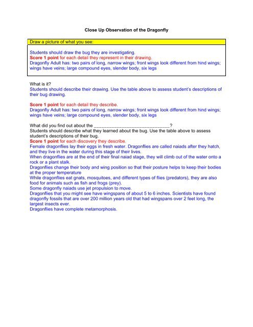 Science Journal Pages Rubrics - Kinder Magic