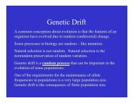 Genetic Drift.pdf