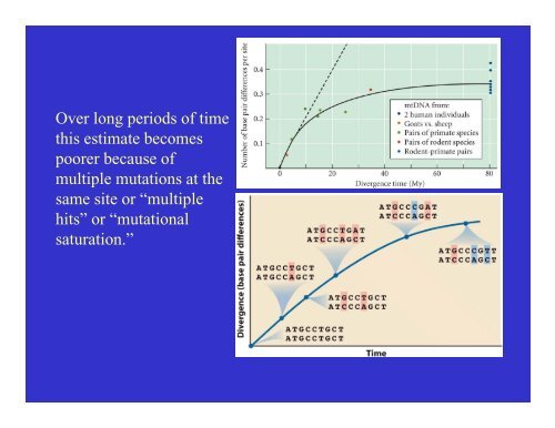 Genetic Drift.pdf