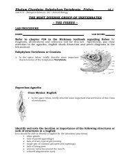 Phylum Chordata: Subphylum Vertebrata - Fishes ... - Biosciweb.net