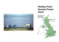 Hinckley Point, Somerset - Megaproject